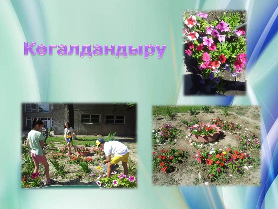 Мектепшілік іс-шаралар