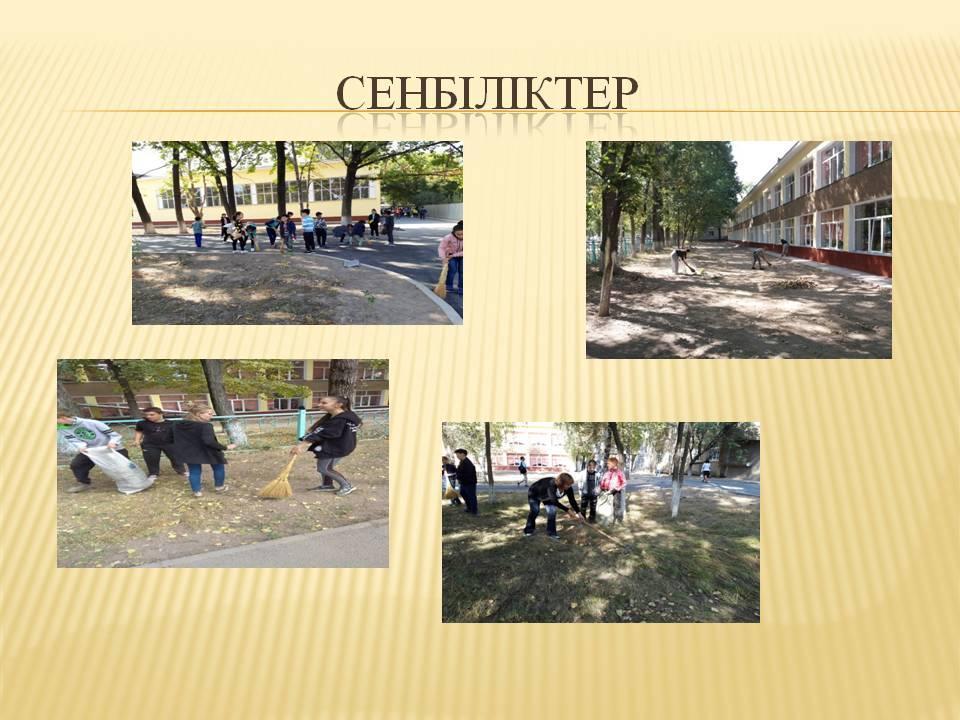 Мерекелік іс-шаралар